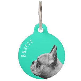 Médaillon Pour Animaux Français French Bulldog Aqua personnalisé
