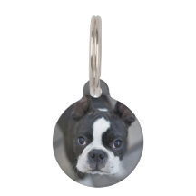Frenchie Bouledogue Français Chien Chat Étiquette