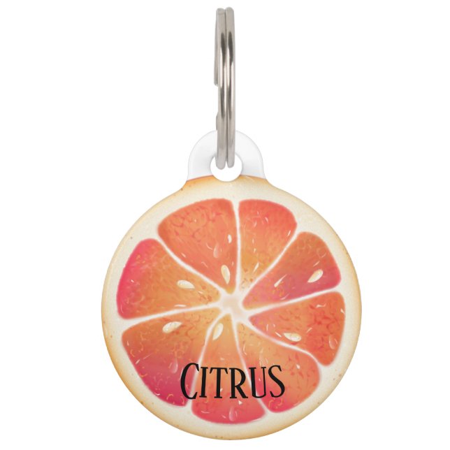 Médaillon Pour Animaux Fruit Citrus de pamplemousse personnalisé (Devant)
