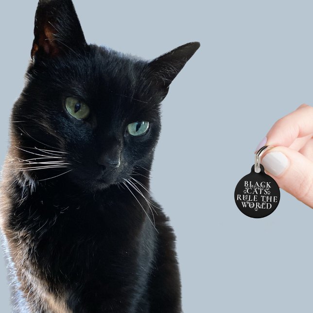 Médaillon Pour Animaux Funny Black Cats Règle The World Address Pet ID ba (Black cats rule the world! Add their address on the reverse)