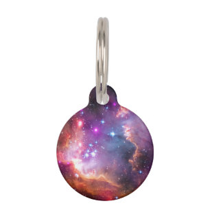 Médaillon Pour Animaux Galaxie Angélique Falln