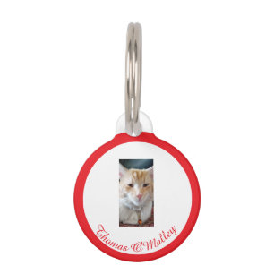 Médaillon Pour Animaux Ginger Cat, Nom Photo Personnalisée, Texte Drôle,