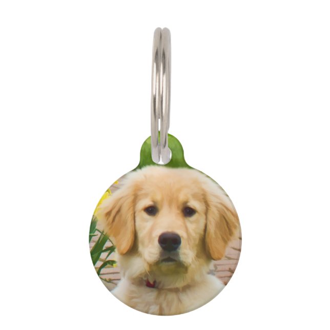 Médaillon Pour Animaux Golden Retriever Chien (Devant)
