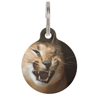 Médaillon Pour Animaux Goofy Lynx
