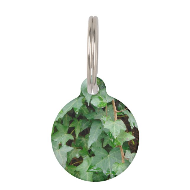 Médaillon Pour Animaux Green Escalade Ivy 0237 (Devant)