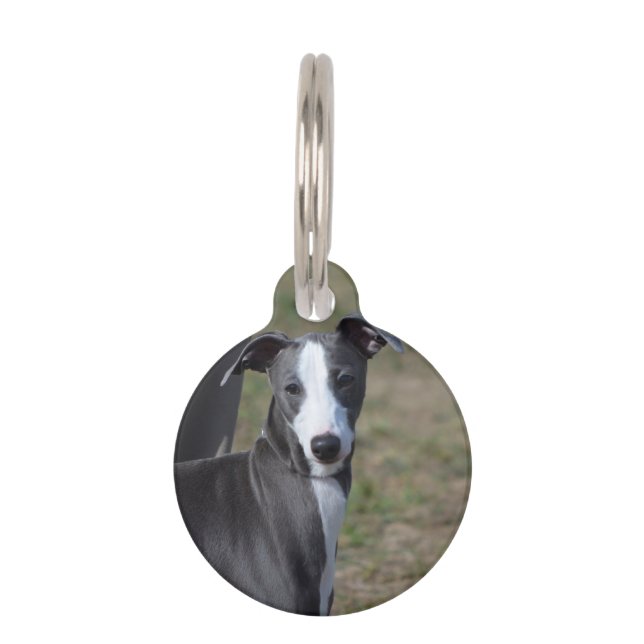 Médaillon Pour Animaux Greyhound italien (Devant)