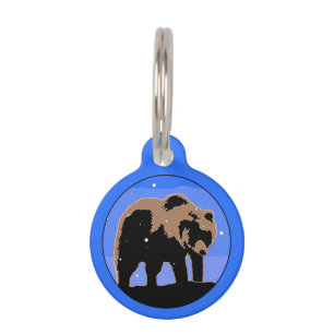 Médaillon Pour Animaux Grizzly Bear en hiver - Art original de la faune