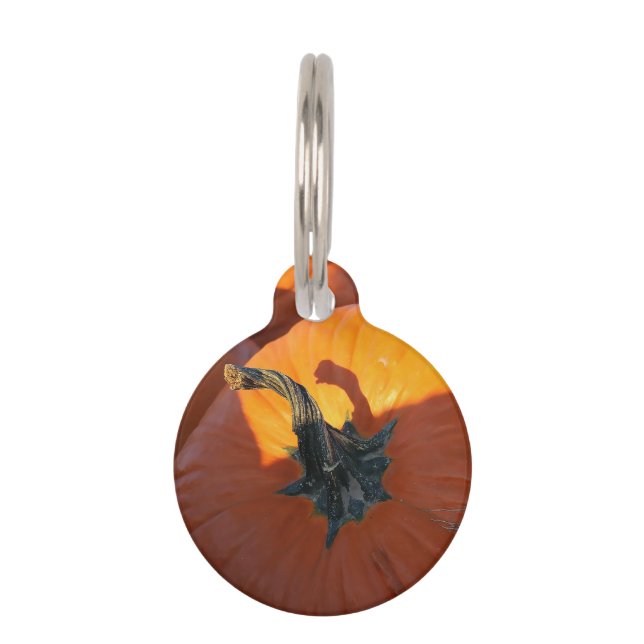 Médaillon Pour Animaux Grosse citrouille orange (Devant)