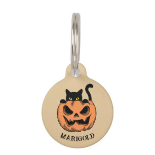 Médaillon Pour Animaux Halloween Citrouille et chat noir Personnalisé