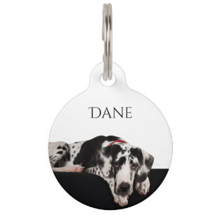 Médaillon Pour Animaux Harlequin great dane