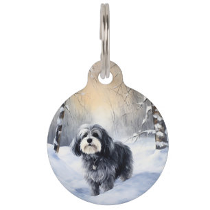 Médaillon Pour Animaux Havanais Laissez Tomber la Neige Noël
