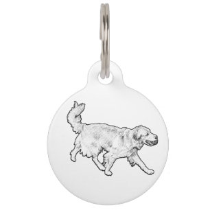 Médaillon Pour Animaux Humeur de compagnon rapide