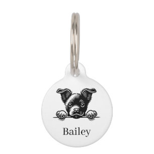 Médaillon Pour Animaux Illustration vectorielle de chien mignon qui regar