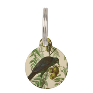 Médaillon Pour Animaux Impression d'oiseau Grackle Violet d'Audubon Botan