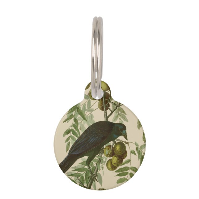 Médaillon Pour Animaux Impression d'oiseau Grackle Violet d'Audubon Botan (Devant)