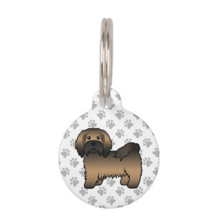 Médaillon Pour Animaux Informations sur le chien de race Havanais bringé