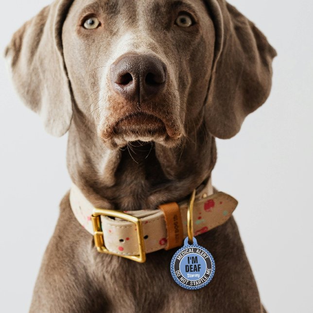 Médaillon Pour Animaux Je suis Sourd Texte Personnalisé Animaux Médicales (Créateur téléchargé)