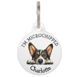 Médaillon Pour Animaux Jeune Corgi Noir Personnalisé qui Regarde Par-dess