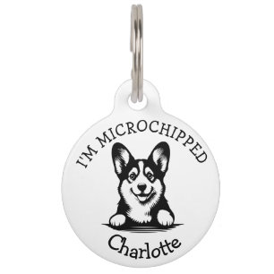 Médaillon Pour Animaux Jeune corgi noir qui regarde par-dessus son épaule