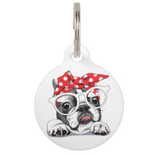 Médaillon Pour Animaux Joli Bouledogue Français Bandeau Coloré Et Lunette