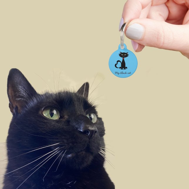 Médaillon Pour Animaux Joli Chat Noir Kitty Nom Adresse Bleu Étiquette D' (A cute blue pet id tag with space for your address details
)
