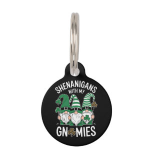 Médaillon Pour Animaux Jour de la Saint-Patrick Chanceux Trèfle Gnomes Lé