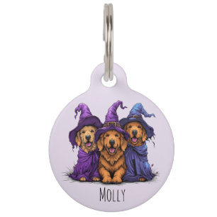Médaillon Pour Animaux Joyeuse Halloween Golden Retriever Chiens sorcière