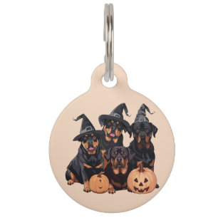 Médaillon Pour Animaux Joyeux chien Rottweiler Halloween Jack-o'-lantern