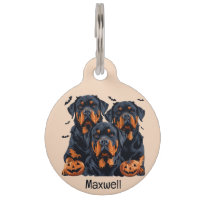 Joyeux chien Rottweiler Halloween Jack-o'-lantern