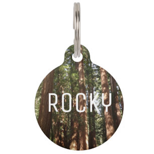 Médaillon Pour Animaux Jusqu'aux séquoias II à Muir Woods National Monume