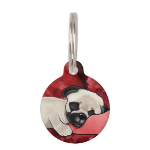 Médaillon Pour Animaux KiniArt Tague d'identification pour animal de comp