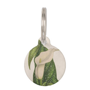 Médaillon Pour Animaux Le vert vintage de zantedeschia de fleur laisse le