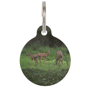 Médaillon Pour Animaux Les jumeaux et leur maman