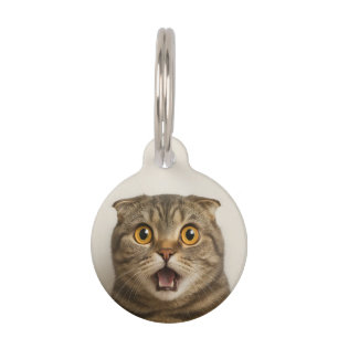 Médaillon Pour Animaux Lesbiennes Mangent Quoi de Drôle