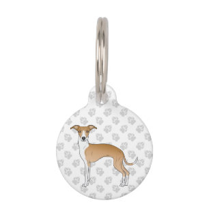 Médaillon Pour Animaux Lévrier Italien Fauve Et Blanc Chien De Dessin Ani