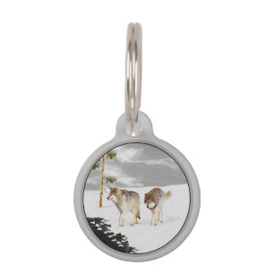 Médaillon Pour Animaux Loups en peinture sur neige - Art original de la f