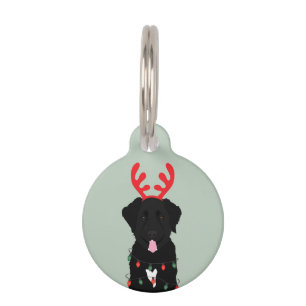 Médaillon Pour Animaux Lumières de Noël des rennes de chien noir