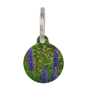 Médaillon Pour Animaux Lupines