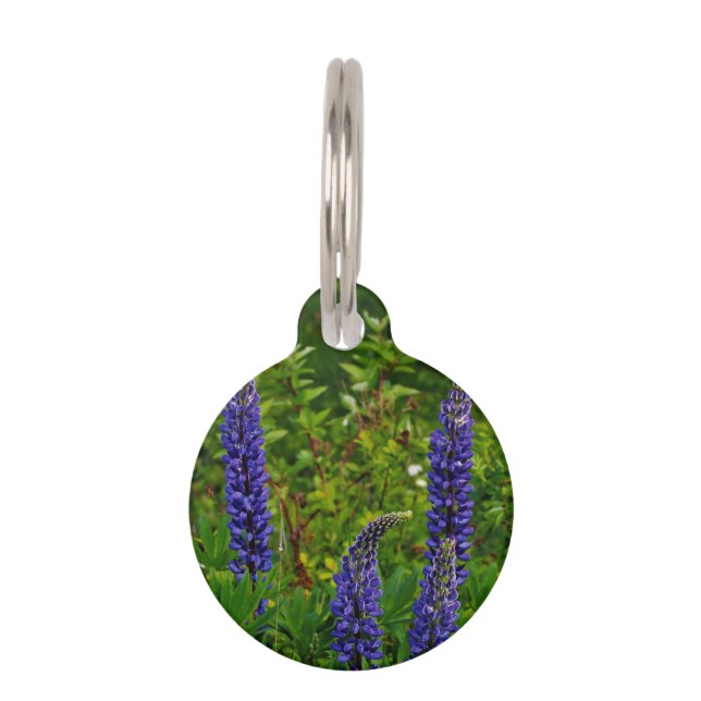 Médaillon Pour Animaux Lupines (Devant)