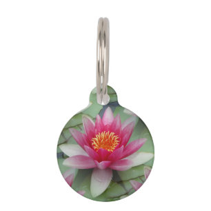 Médaillon Pour Animaux Lys d'eau de Lotus rose