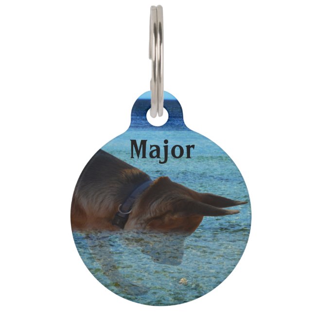 Médaillon Pour Animaux Major Le Berger Allemand, Plaque d'identification. (Devant)
