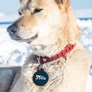 Médaillon Pour Animaux Marine Blue Retro