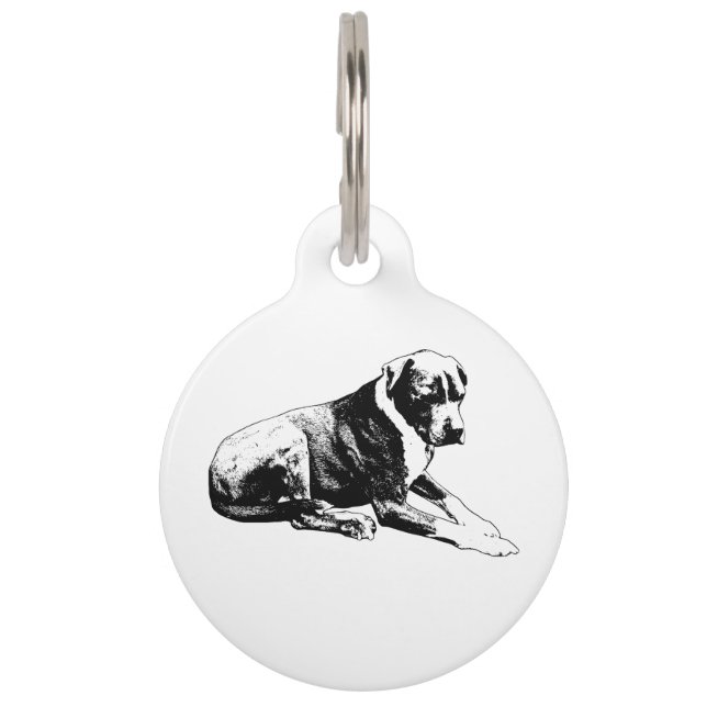 Médaillon Pour Animaux Marque Lean Solide et Sûre (Devant)