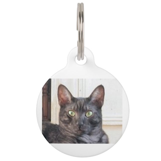 Médaillon Pour Animaux mau égyptien (Devant)
