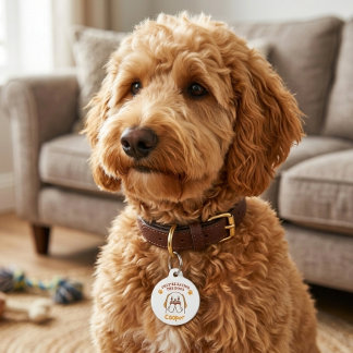 Médaillon Pour Animaux Mignon collier pour chien Ils mangent le chien Mig