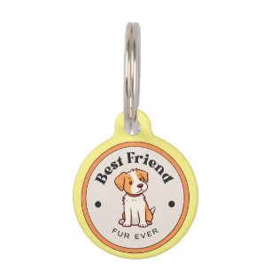 Médaillon Pour Animaux MIGNON ! Identificateur Rond pour Animal de Compag