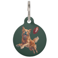 Mignonne Golden Retriever Chien Jouant Au Football
