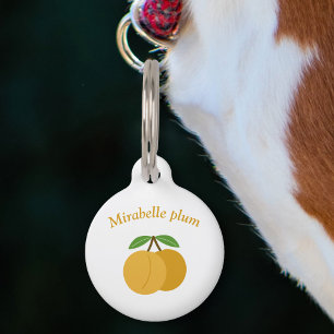 Médaillon pour animaux Mirabelle