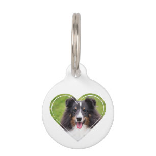 Médaillon Pour Animaux Modèle de photo d'animal de compagnie en forme de