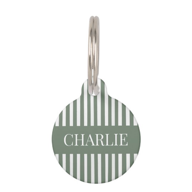 Médaillon Pour Animaux Modern Green and White Stripes Personalized Name (Devant)
